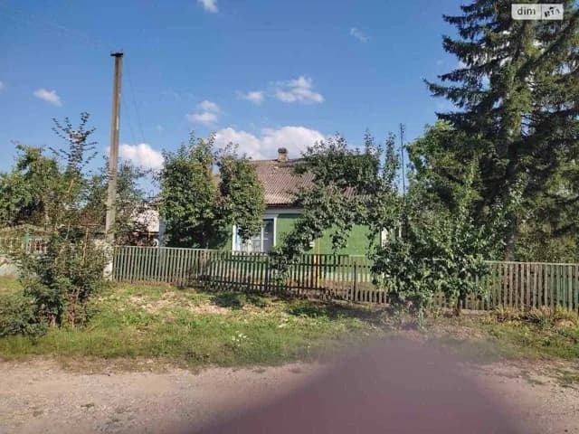 Будинок, Вікентіївка: гараж, опалення, цегляні стіни - фото 2