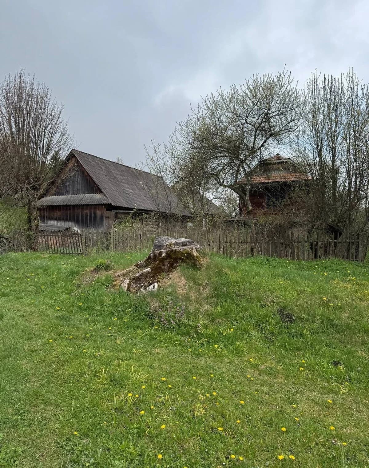 Будинок, Латірка: 181.3 га, торг можливий - фото 4