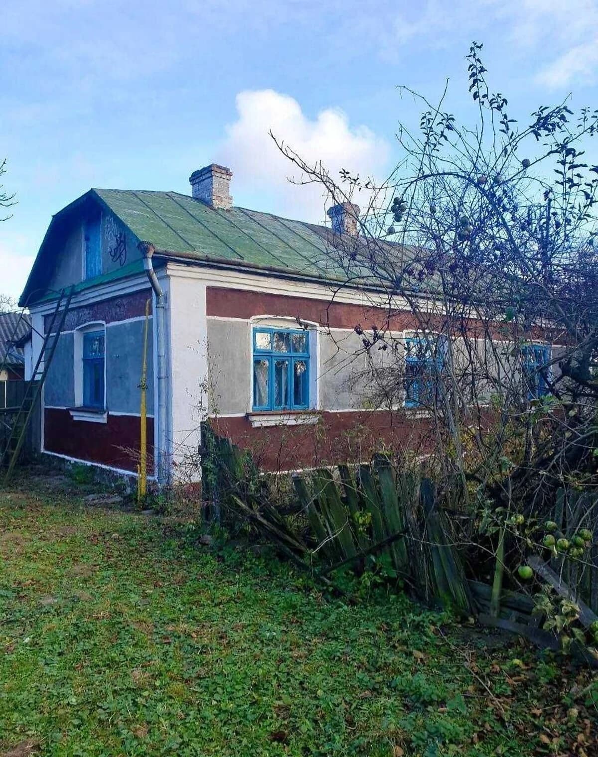 Будинок, Заболотці: 62 сотки, газове та пічне опалення - фото 2