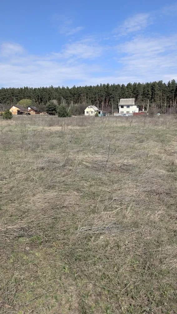 Ділянка 22 соток, Благодатне: фундамент, електрика і газ - фото 2