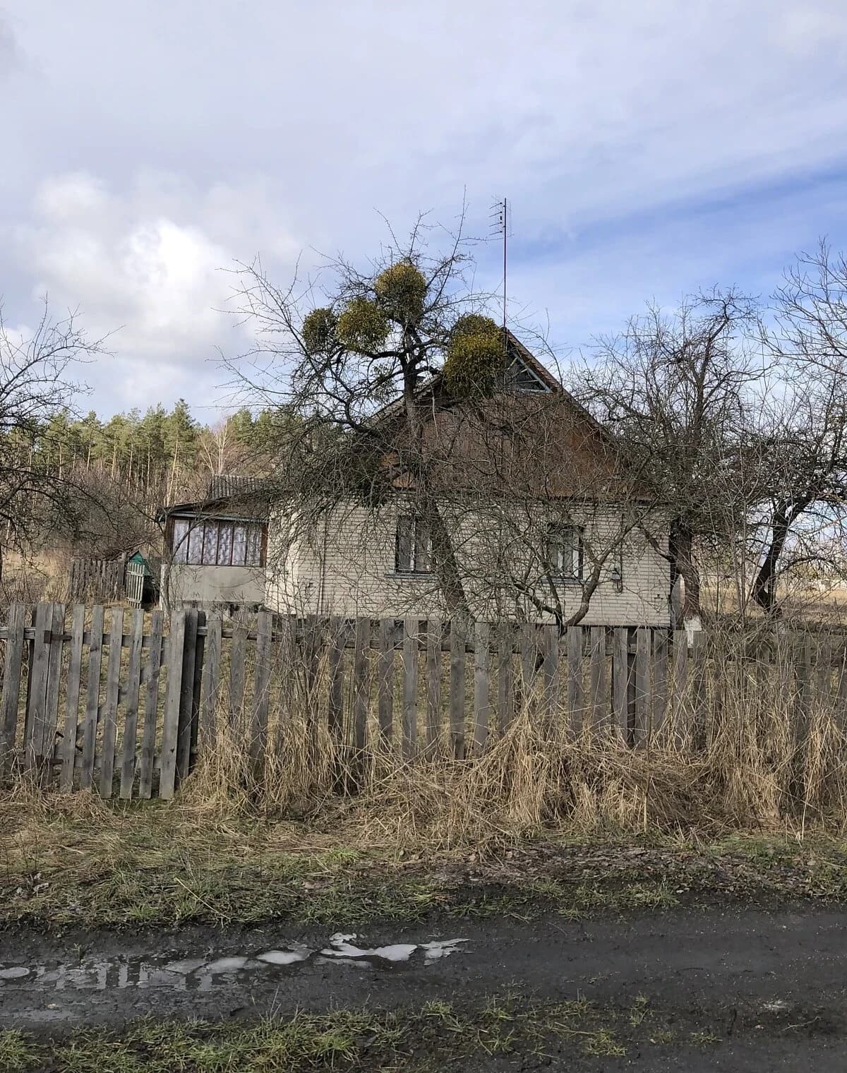 Будинок, Мала Токарівка: веранда, штучне озеро, індивідуальне опалення - фото 5