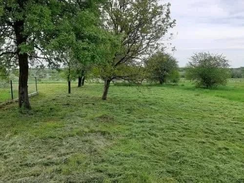 Ділянка 35 соток, Нижні Гаї: деревʼяний будинок, великий сад - фото 3