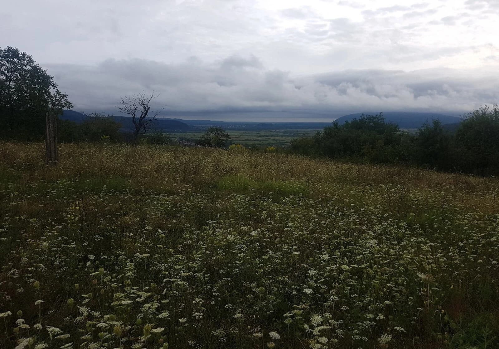 Ділянка 99.4 сотки, Рокосово: гірський рельєф, криниця - фото 4