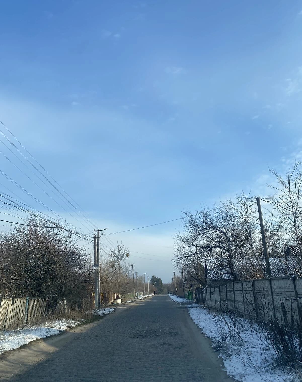 Дача, Корнин: пічне опалення, сад, господарські будівлі - фото 3