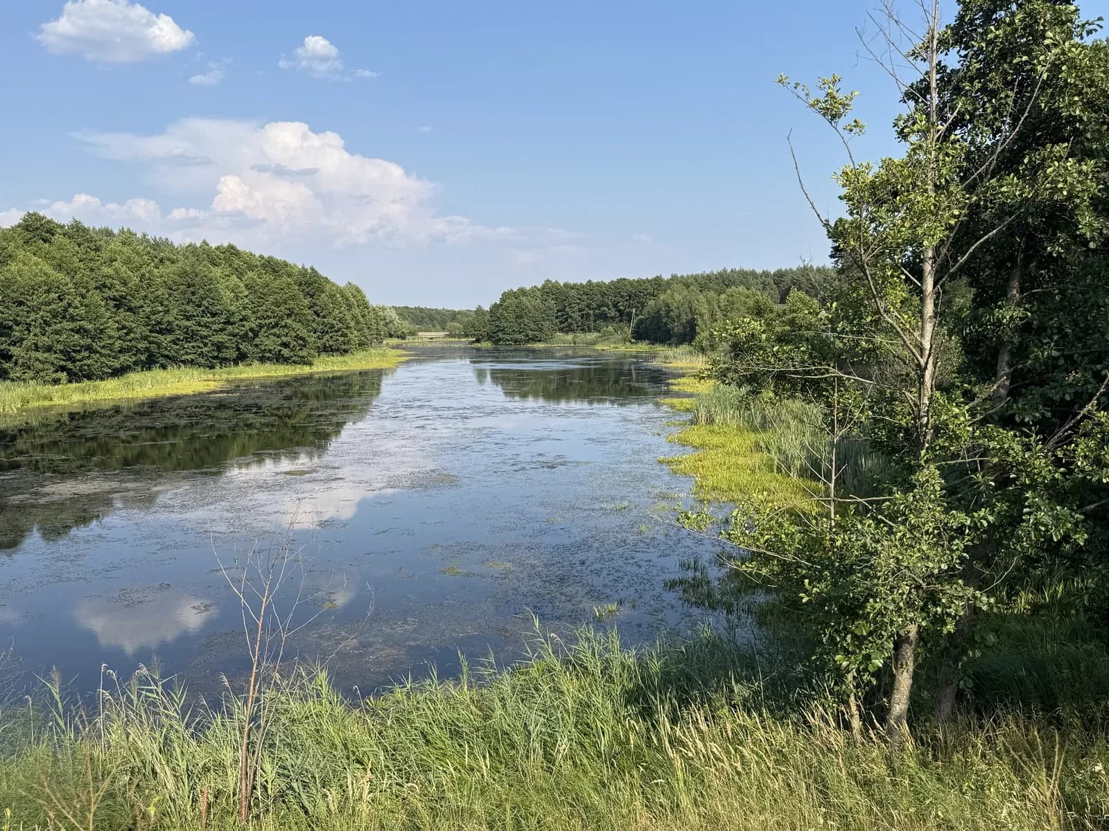 Ділянка 15 соток, Славута: біля річки, житлова й суспільна забудова - фото 1