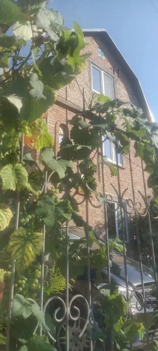 Будинок, Іванковичі: піч і камін, сухий підвал, 15 км від Києва