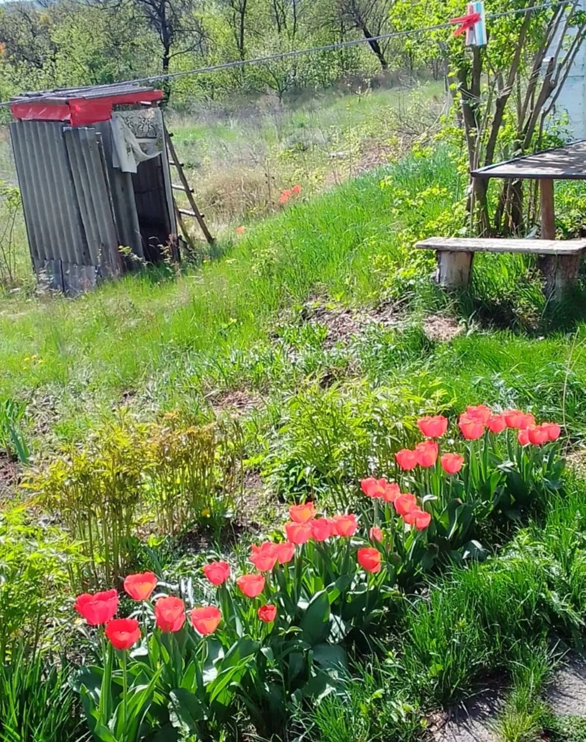 Будинок, Стецівка (Звенигородка): окремий вхід, пічне опалення - фото 5