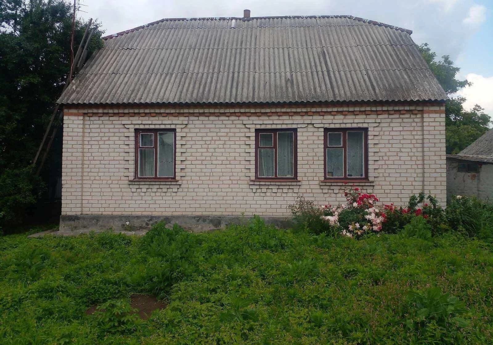 Будинок, Радомишль: гараж у дворі, свердловина - фото 1
