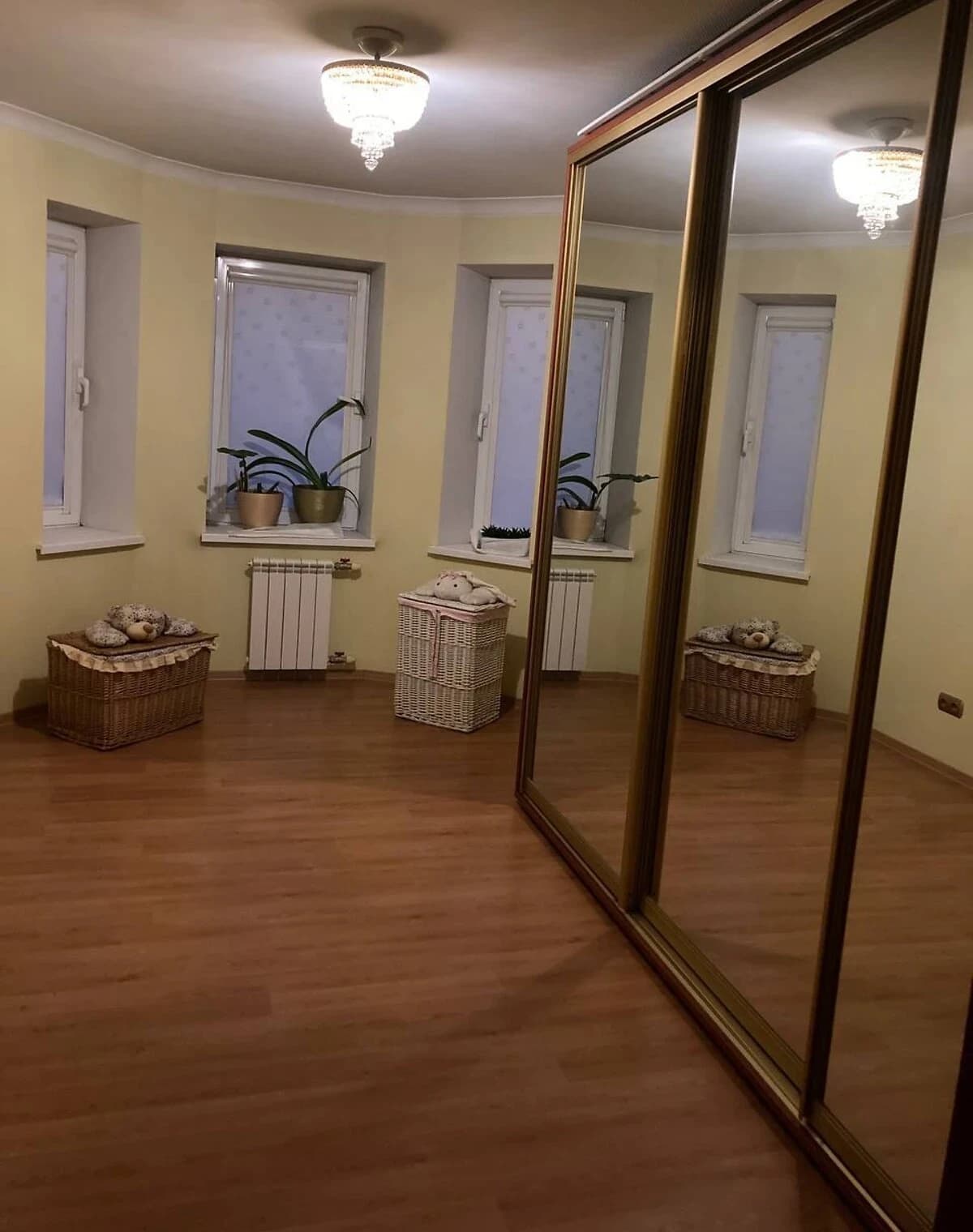 3-кімнатна квартира, Олександрівський: кухня-студія, газ без світла - фото 3