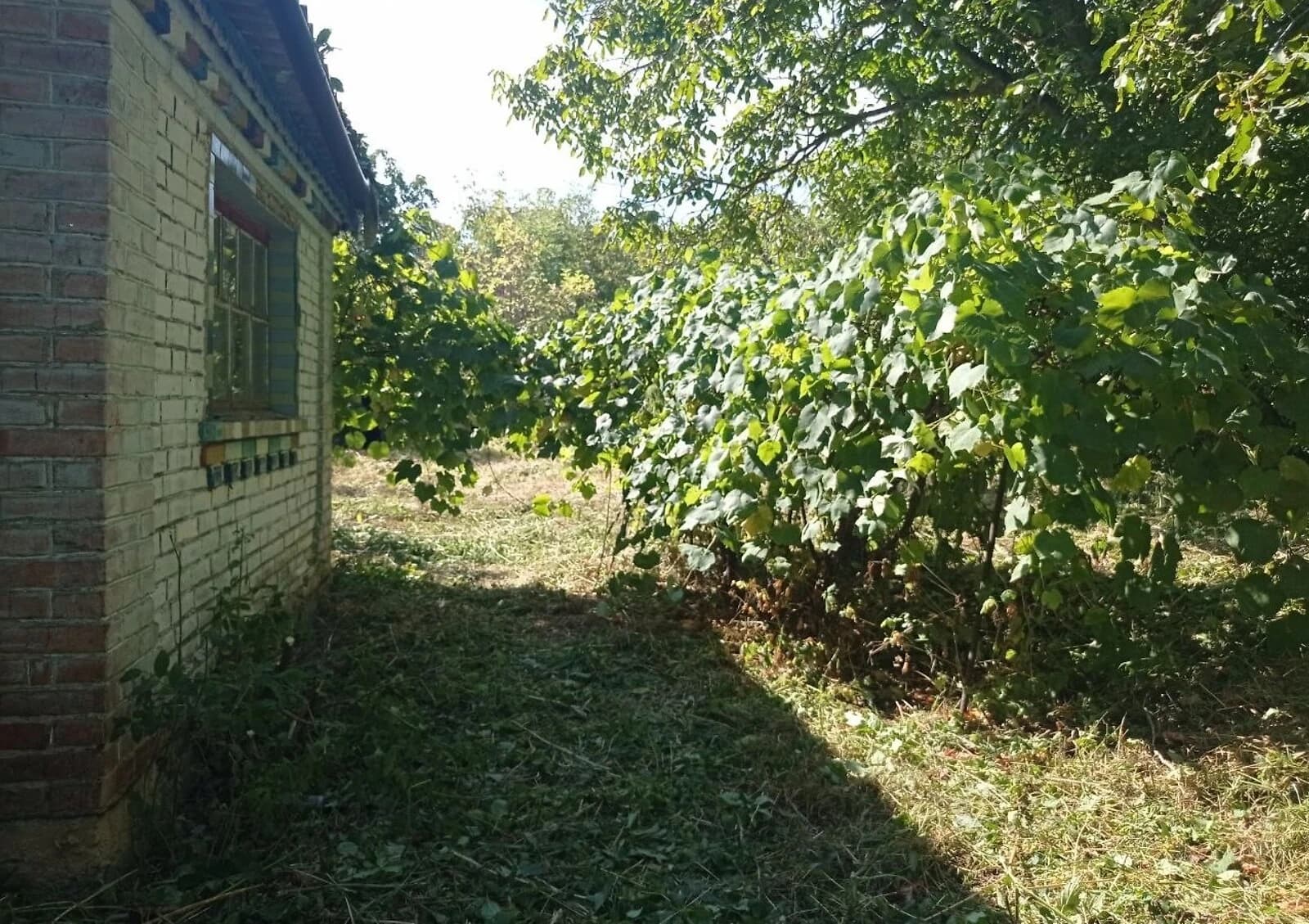 Ділянка 20.5 соток, Хижинці: під житлову забудову, криниця - фото 1