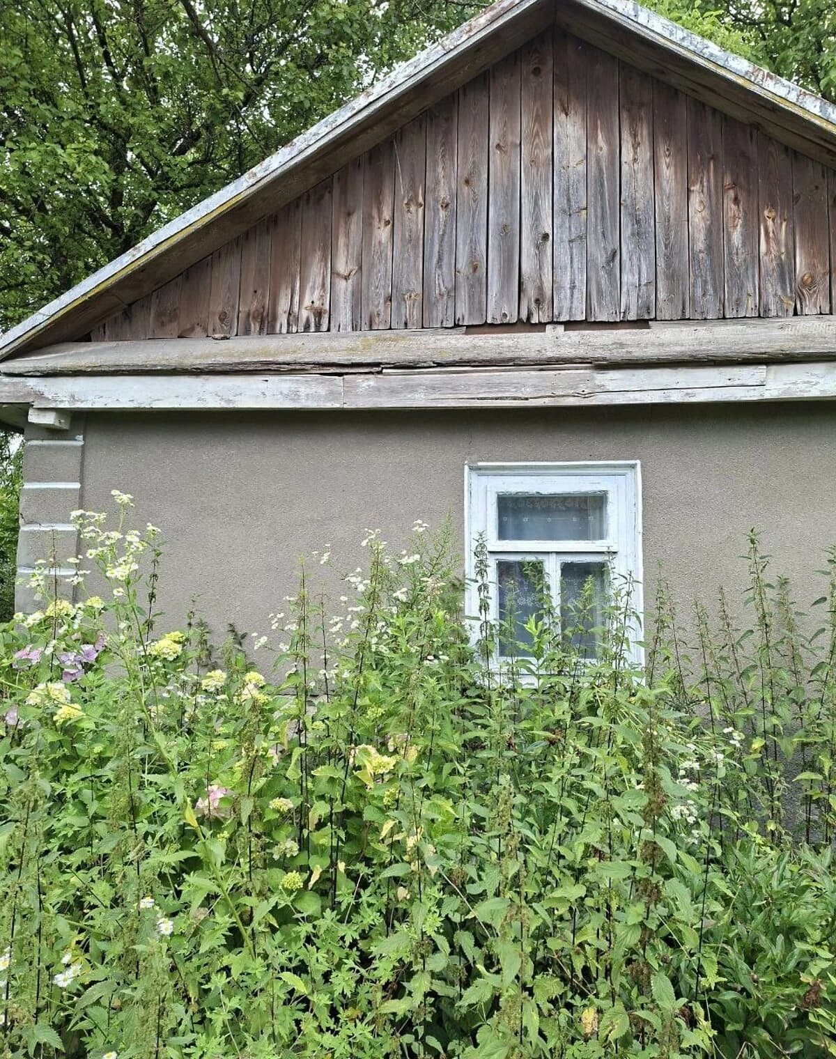 Ділянка 12 соток, Сенкевичівка: під житлову забудову, сад і паркан - фото 1