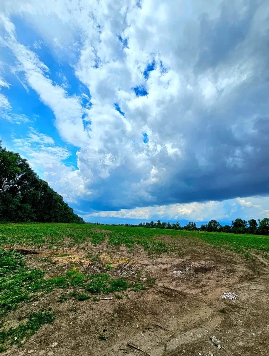 Ділянка 297 соток, Полтава: під склади, автошлях Київ-Харків - фото 1