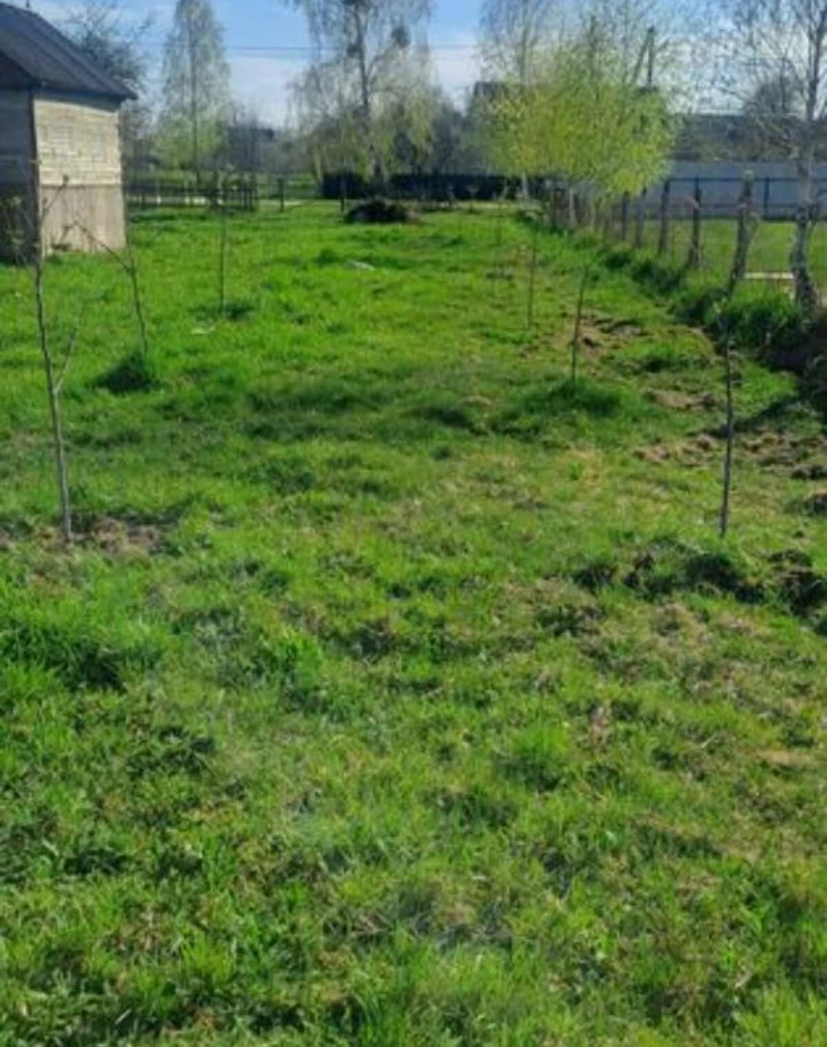 Ділянка 15 соток, Довбиш: під житлову забудову, електрика - фото 2