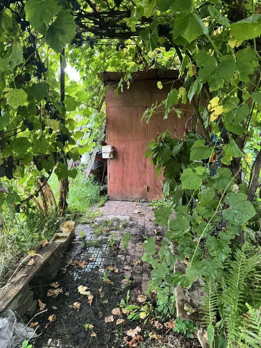 Ділянка 6 соток, Сарни: під забудову, гараж, криниця - фото 5