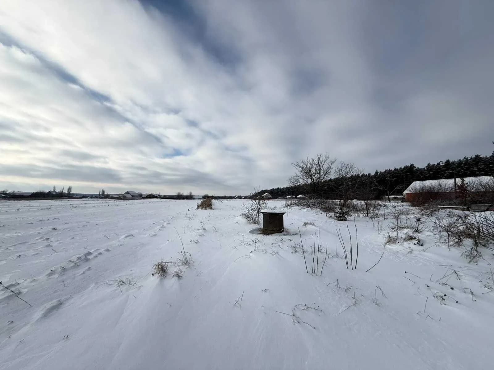 Ділянка 25 соток, Сосонка: газ поруч, електрика поруч, сосновий ліс - фото 5