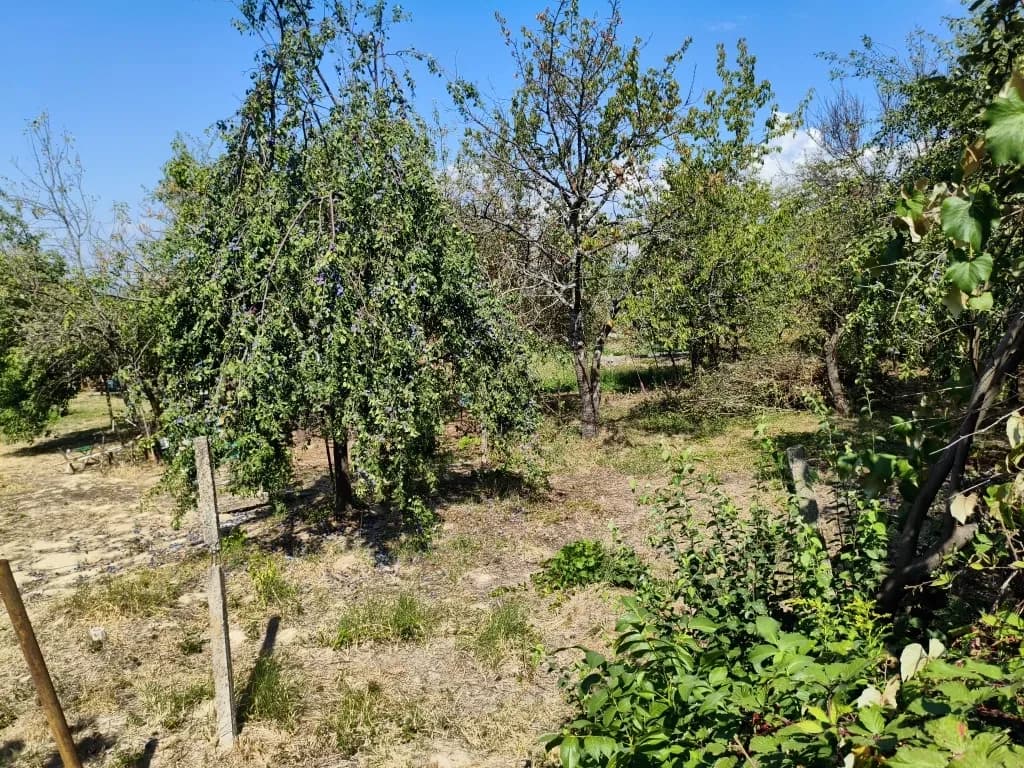 Ділянка 5 соток, Брід: рівний рельєф, електрика - фото 3