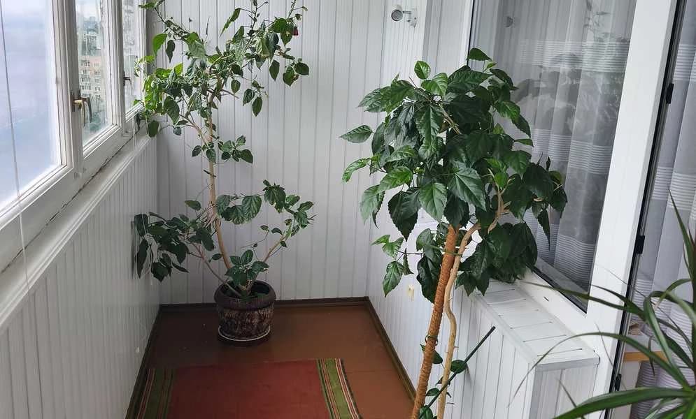 2-кімнатна квартира, Подільський: балкон на дві кімнати, без тварин - фото 4