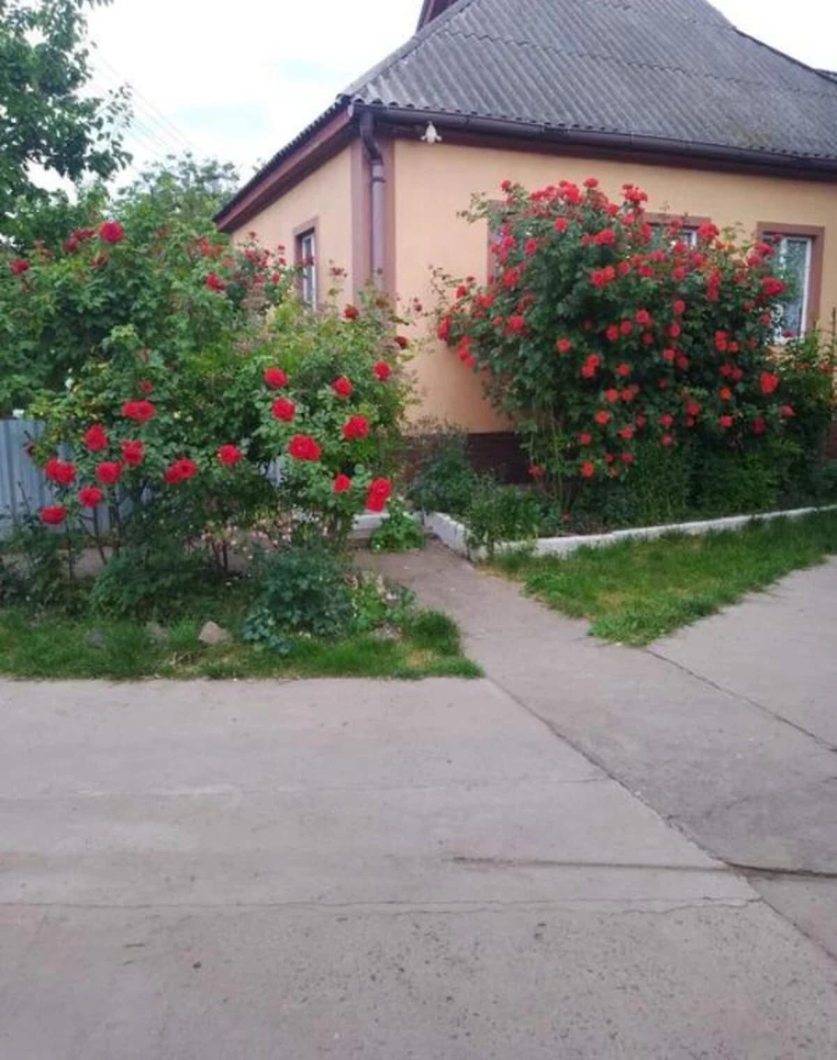 Будинок, Велика Яблунівка: гараж, бесідка, 33 сотки - фото 2
