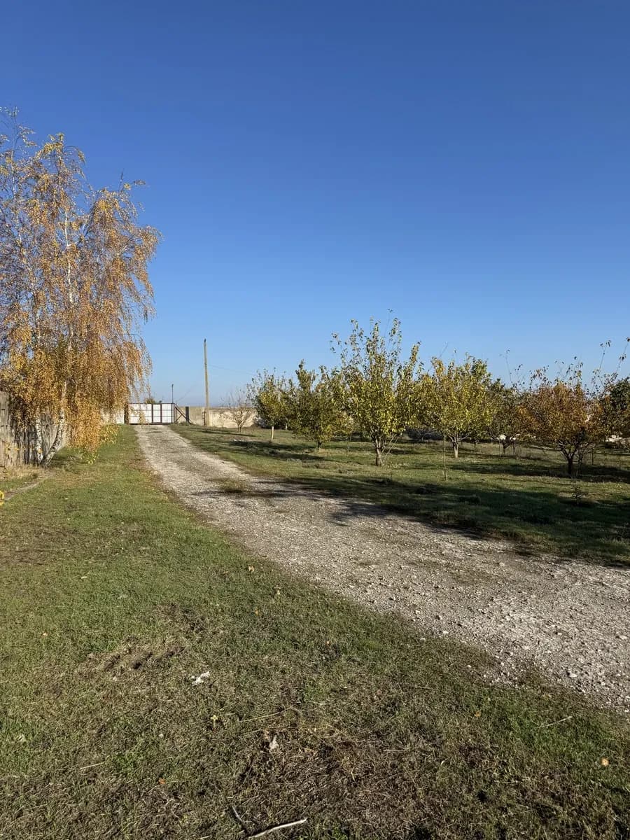 Фермерське господарство, Привітне: 32 га у власності, 2 теплиці - фото 2