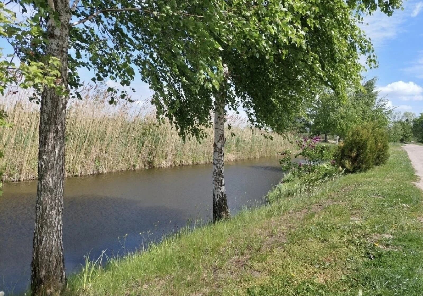 Ділянка 15 соток, Будище: під житлову забудову, штучне озеро - фото 4