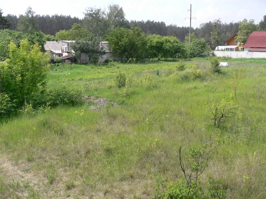 Ділянка 25 соток, Гнідин: будинок 100 м², 3 км від Києва - фото 2