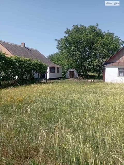Дача, Тесів: веранда, літня кухня - фото 2