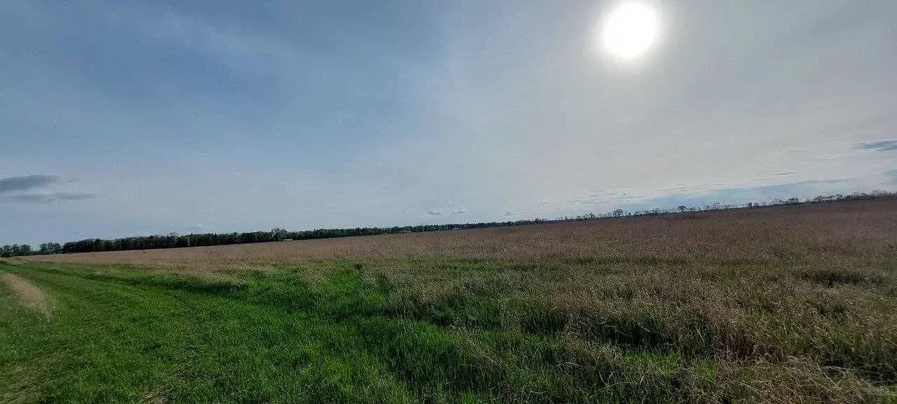 Ділянка 205 соток, Гнідин: прямокутна форма, продаж однієї або двох - фото 4
