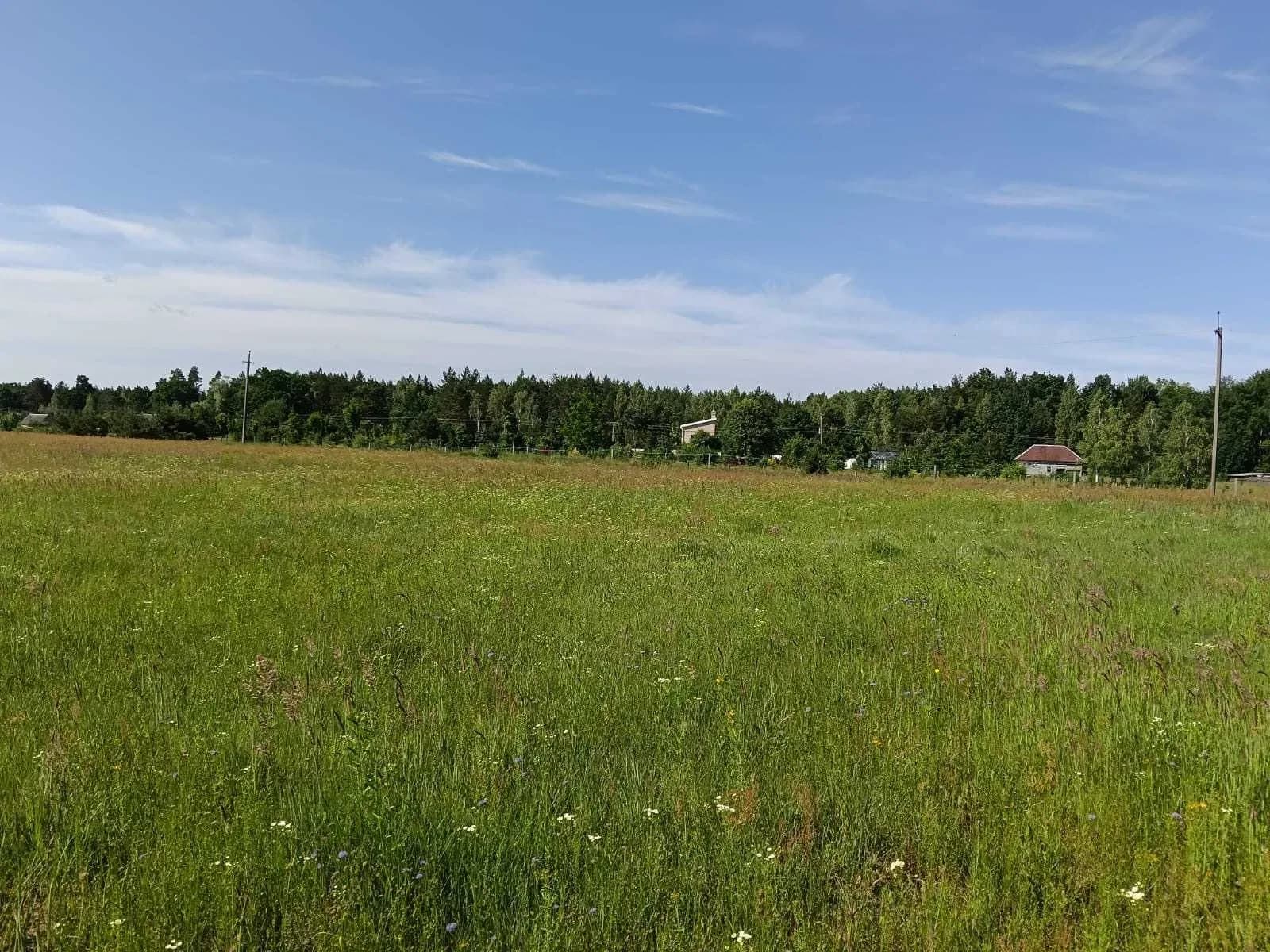 Ділянка 0.14 соток, Володимирівка: ліс і озеро, під будинок - фото 3