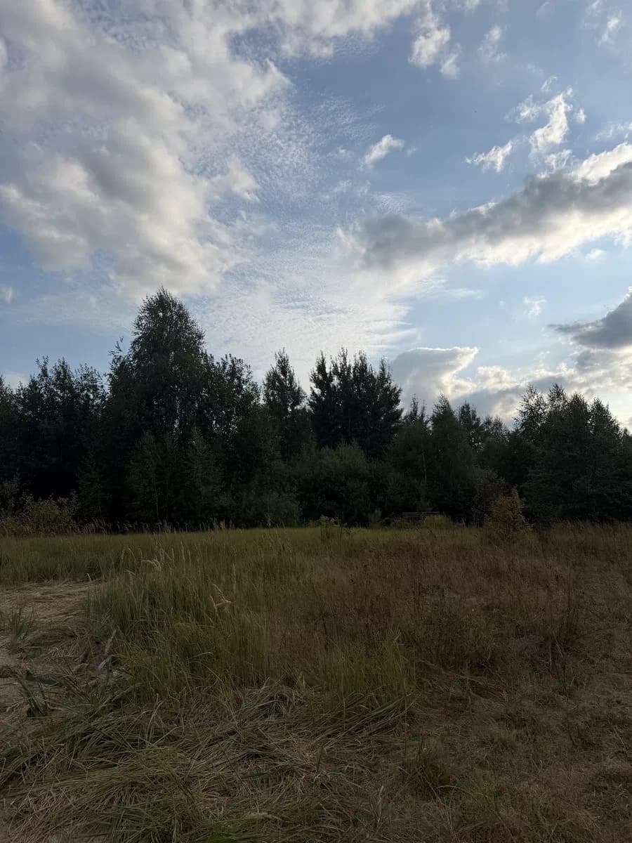 Ділянка 35 соток, Тетерівка: біля річки, світло та газ - фото 3