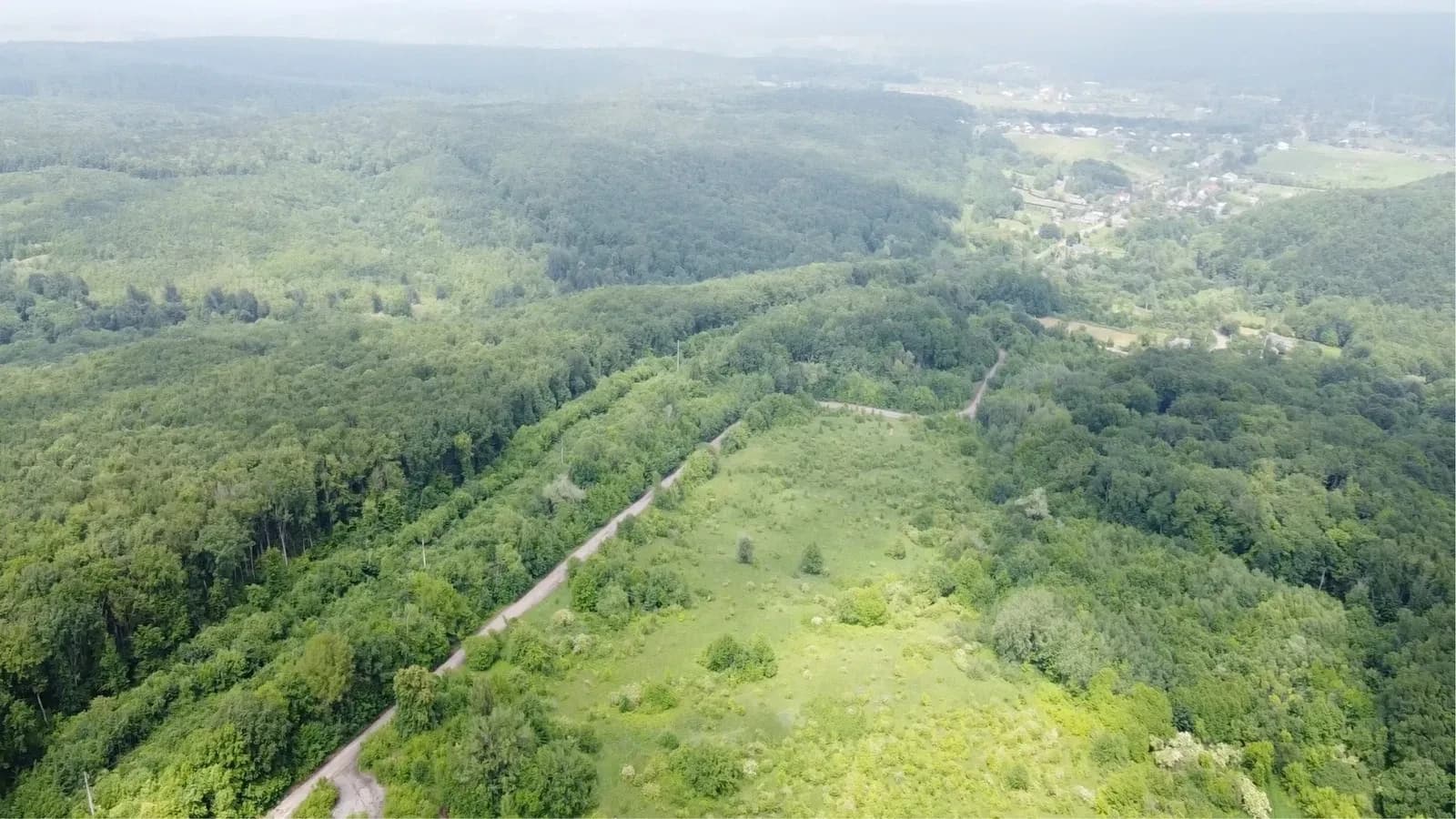 Ділянка 140 соток, Валя Кузьмина: ліс, асфальтована дорога - фото 5