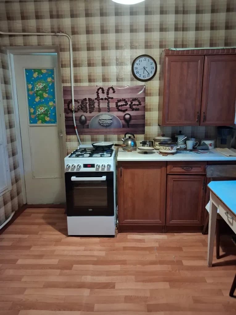 Будинок, Хаджибейський: приватизована ділянка, газовий котел, колодязь - фото 4
