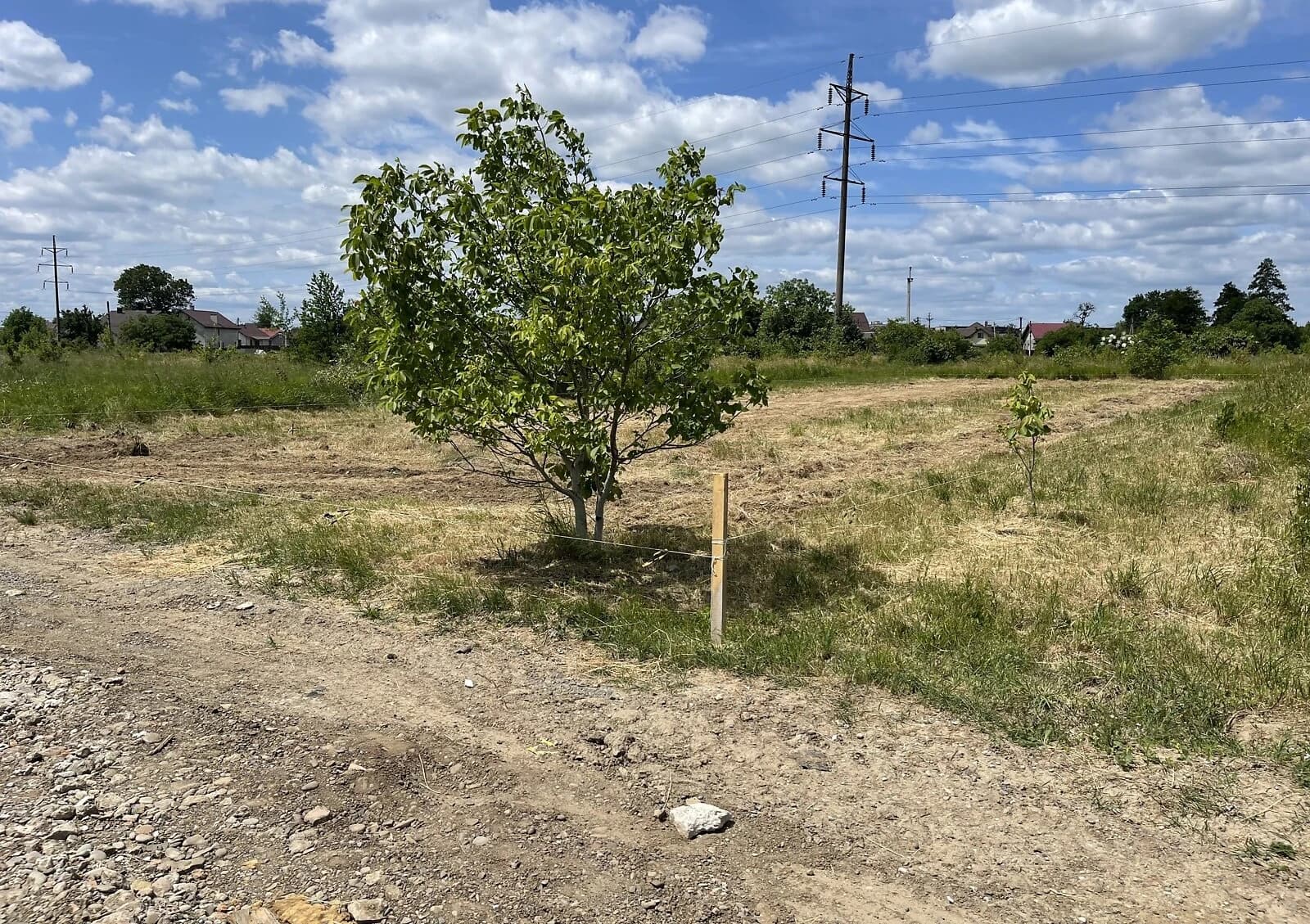Ділянка 8.16 соток, Опришівці: під житлову забудову, електрика, газ - фото 1