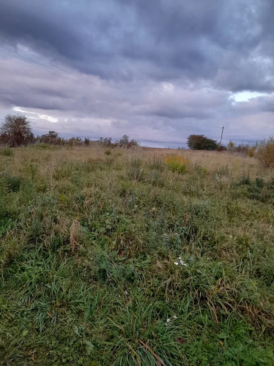 Ділянка 40 соток, Ричагів: траса Т 14-25, 10 км до Миколаєва - фото 1