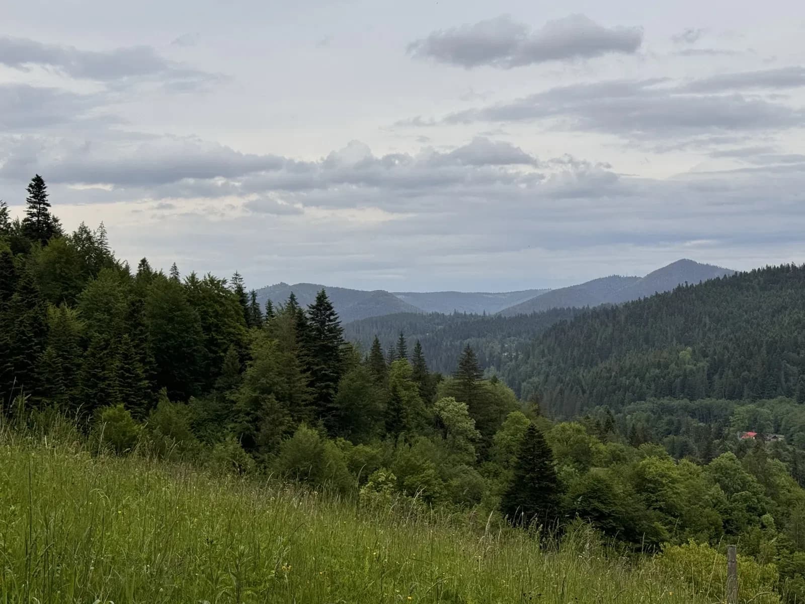 Ділянка 25 соток, Микуличин: під забудову, 600 м до дороги на Буковель - фото 5