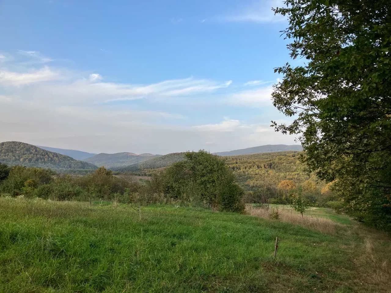 Ділянка 200 соток, Німецька Кучава: панорама, ліс, струмок - фото 5