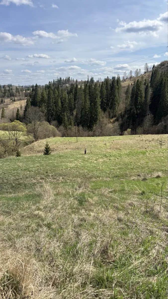 Ділянка 40 соток, Славське: дозвіл на будівництво, вид на гори - фото 4