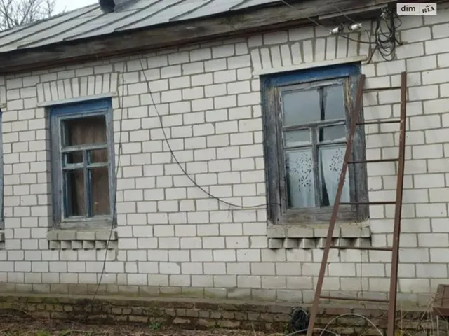 Будинок, Булахів: пічне й газове опалення, гараж і сад - фото 2