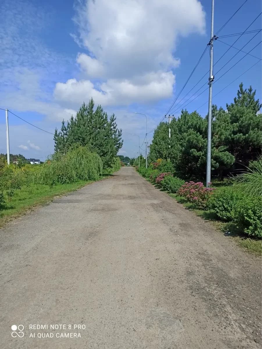 Ділянка 89 соток, Проців: під забудову, сосновий ліс 200 м - фото 1