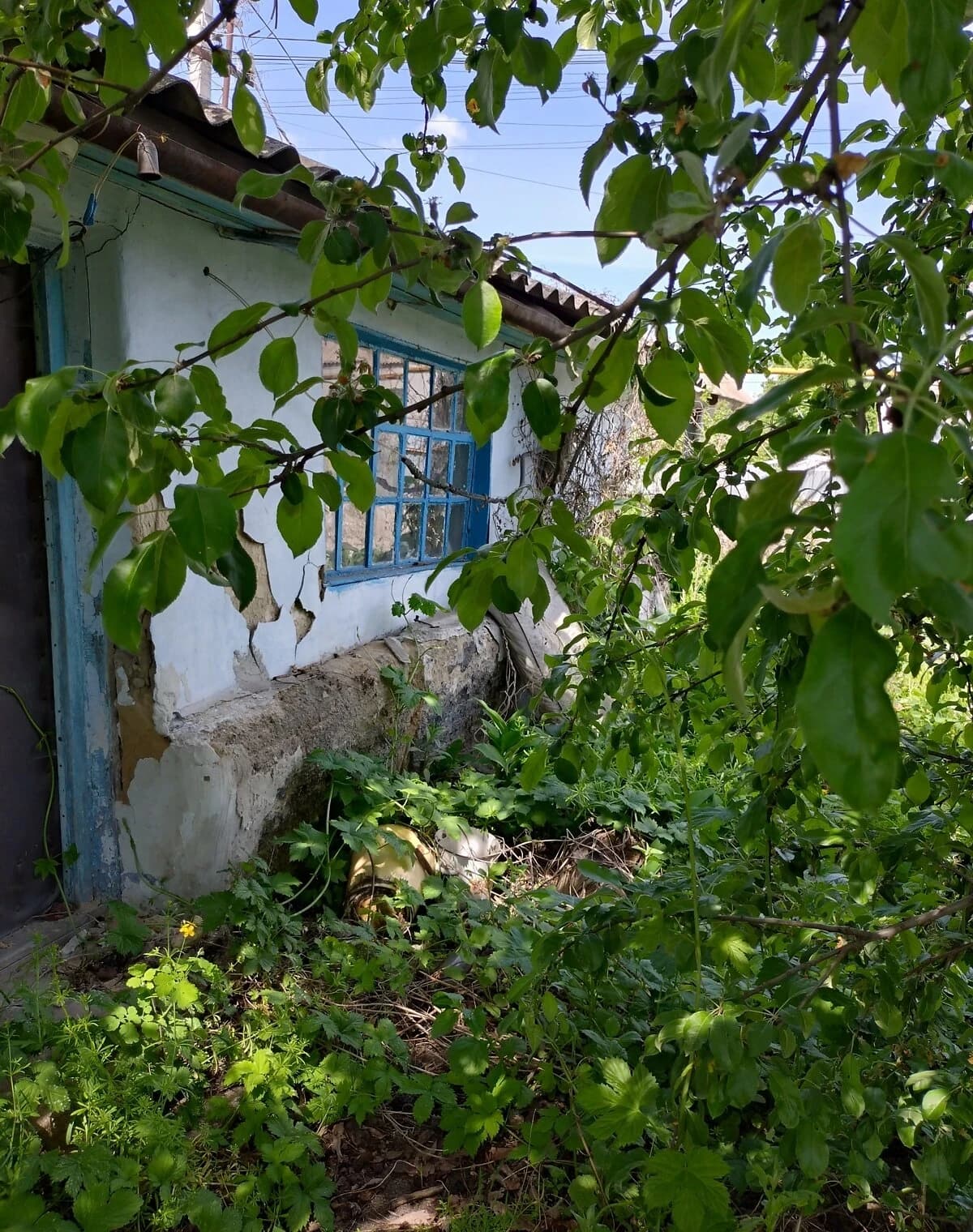 Будинок, Діївка-2: ділянка 8.69 сотки, погріб, пічне опалення - фото 2