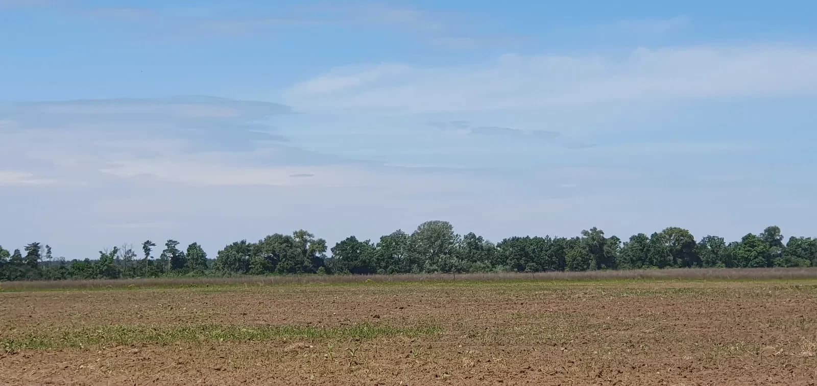 Ділянка 205 соток, Гнідин: оренда до 2032 року, аукціон - фото 3