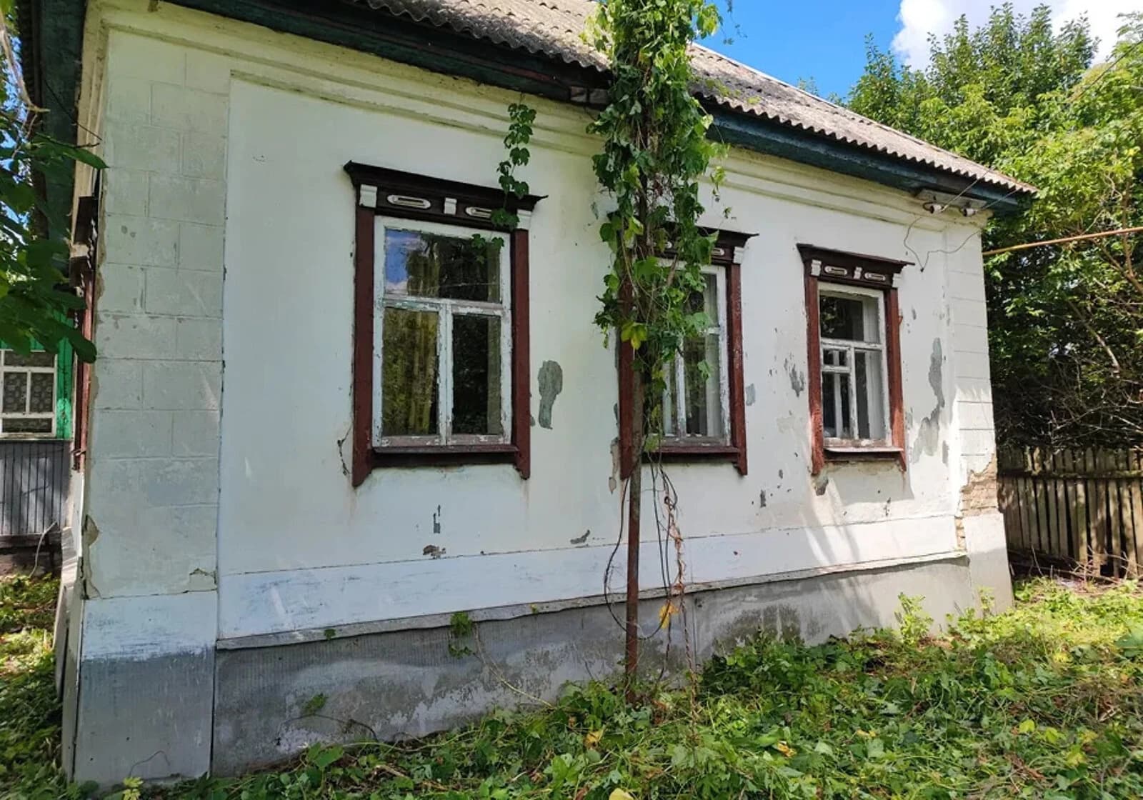 Будинок, Підлипне: гараж у дворі, город і літня кухня - фото 5