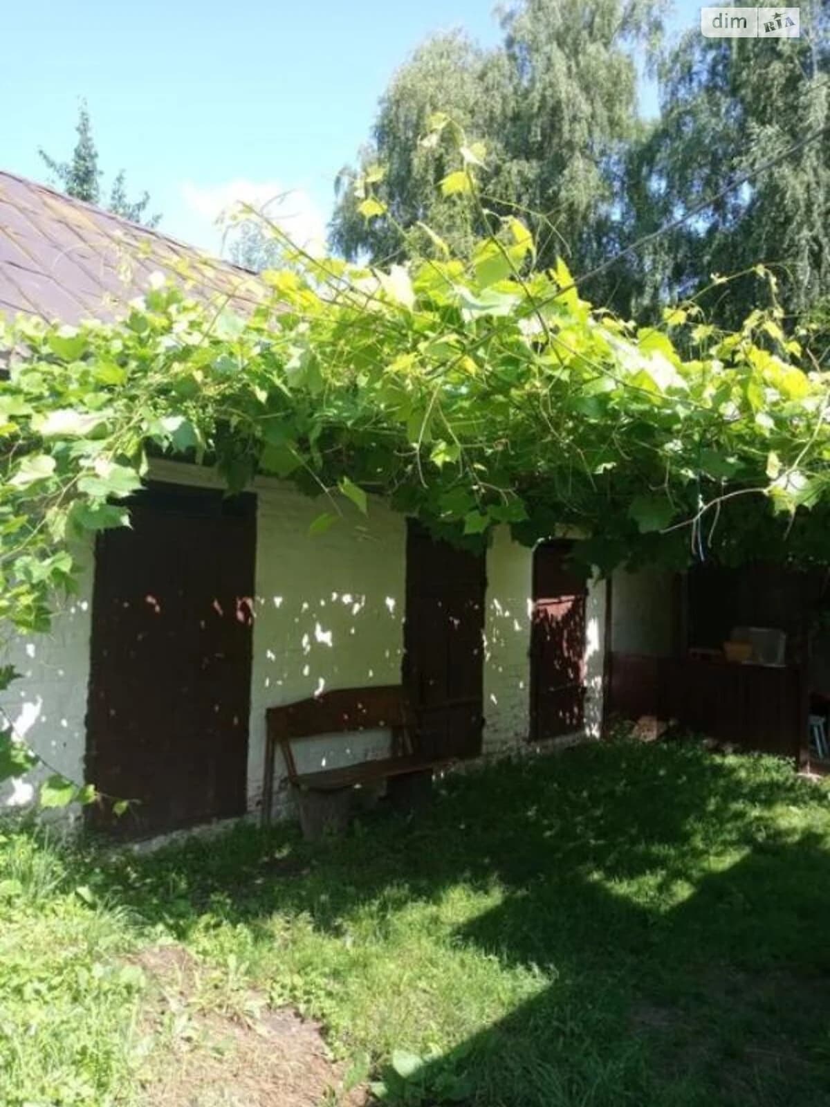 Будинок, Березна: пічне опалення, ділянка 33 сотки, бесідка - фото 3