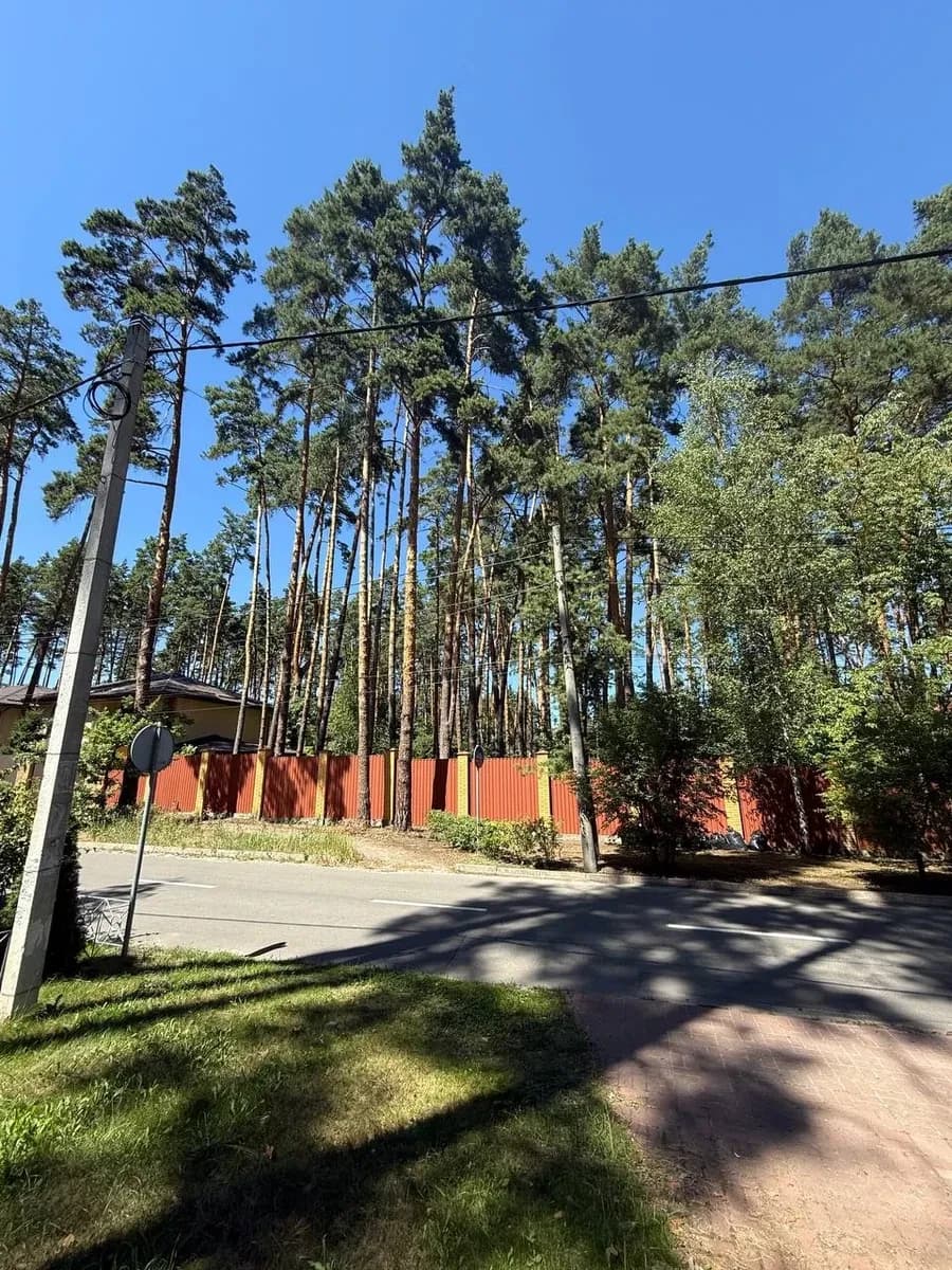 Ділянка 20 соток, Буча: вікові сосни, під житлову забудову - фото 3