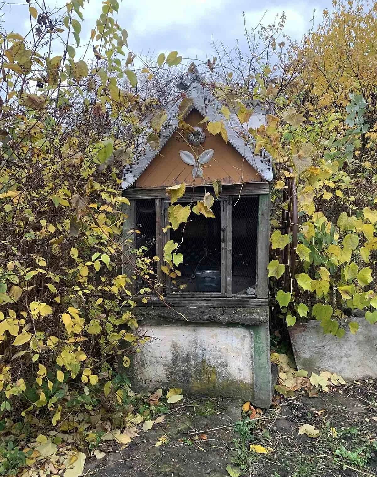 Ділянка 64 соток, Заволока: під житлову забудову, криниця - фото 2
