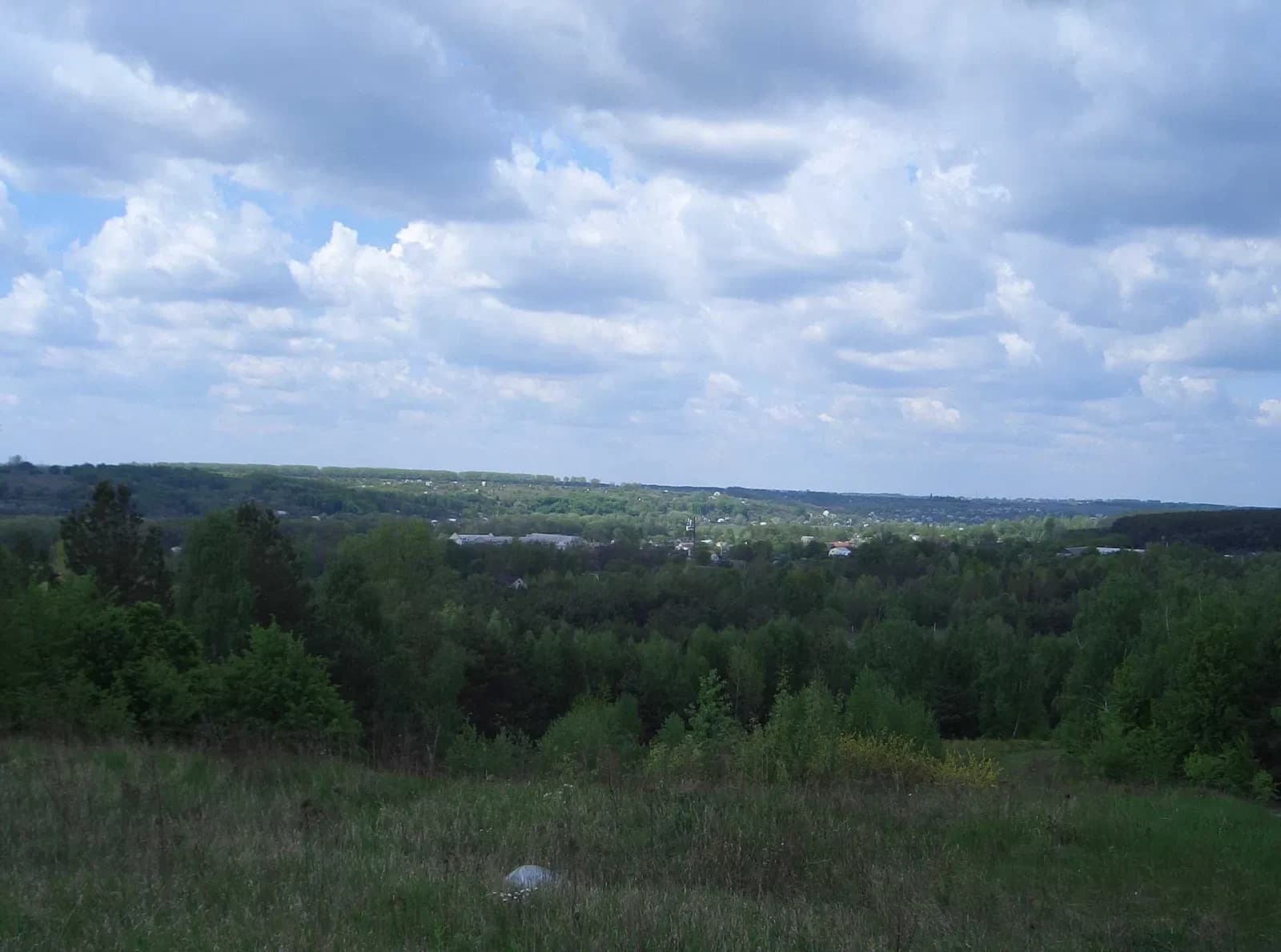 Ділянка 0.06 соток, Васильків: світло 380V, біля соснового лісу - фото 1