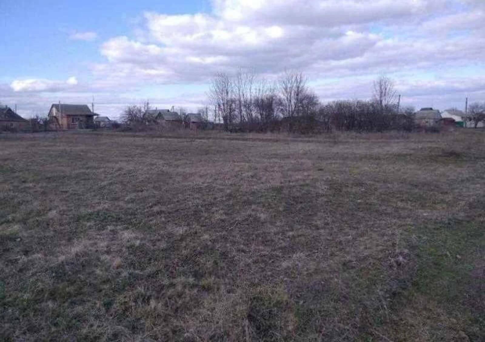 Ділянка 10 соток, Рибці: під житлову забудову, сад - фото 3