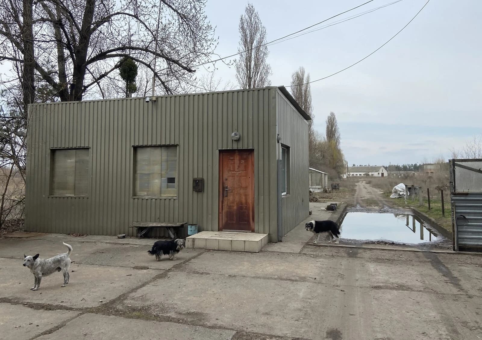 Приміщення, Кедина Гора: ангар, гараж, торг можливий - фото 1