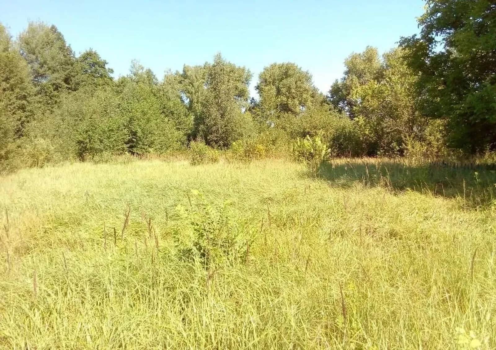 Будинок, Браниця: гараж, літня кухня, цегляні стіни - фото 2