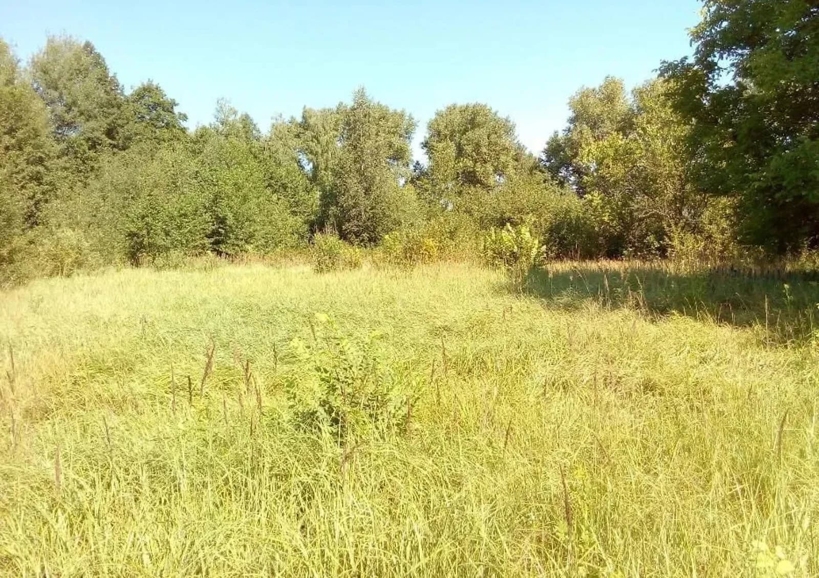 Будинок, Браниця: гараж, літня кухня, цегляні стіни - фото 2