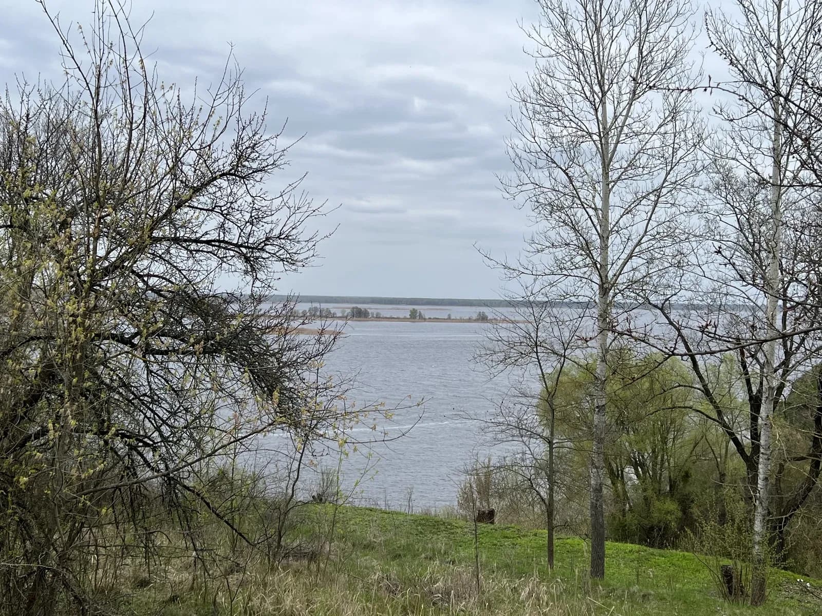 Ділянка 49 соток, Ржищів: на березі Дніпра, для будівництва - фото 1